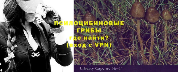 дмт Алексин