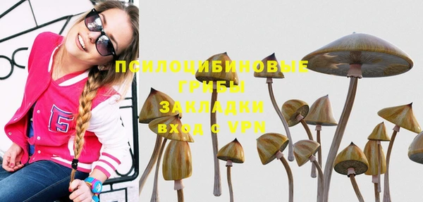 ALPHA PVP Алексеевка