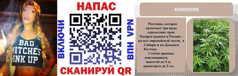 Каннабис SATIVA & INDICA  blacksprut зеркало  Шацк 